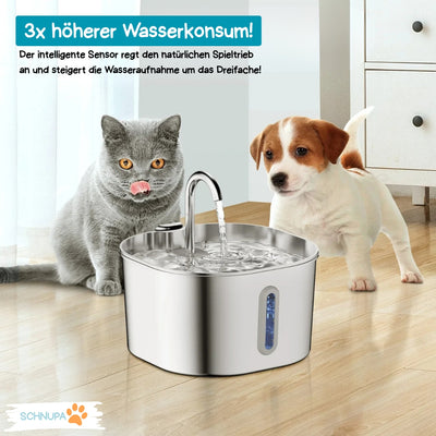 Premium Edelstahl Trinkbrunnen 2.2L