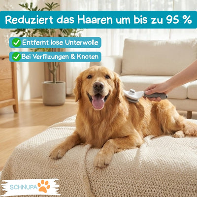 Ein-Klick-Fellbürste: Die Selbstreinigende Komfortbürste für professionelle Fellpflege