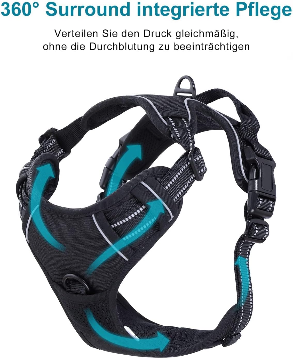 Hochwertiges Geschirr in stilvoller Lederoptik