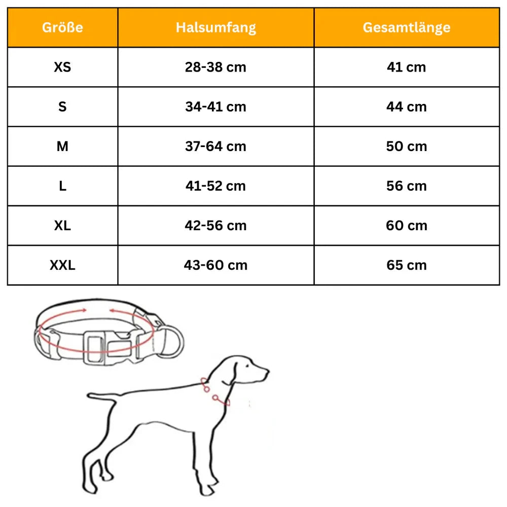 LED Leuchthalsband (Wasserdicht) mit USB Ladefunktion
