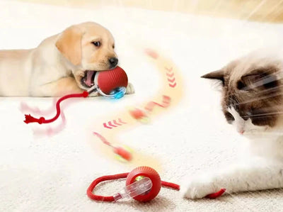 Smarter Spielball – Elektrisch rollendes Spielzeug gegen Langeweile