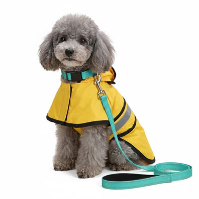 Sichtbarkeits-Bündel für den Winter