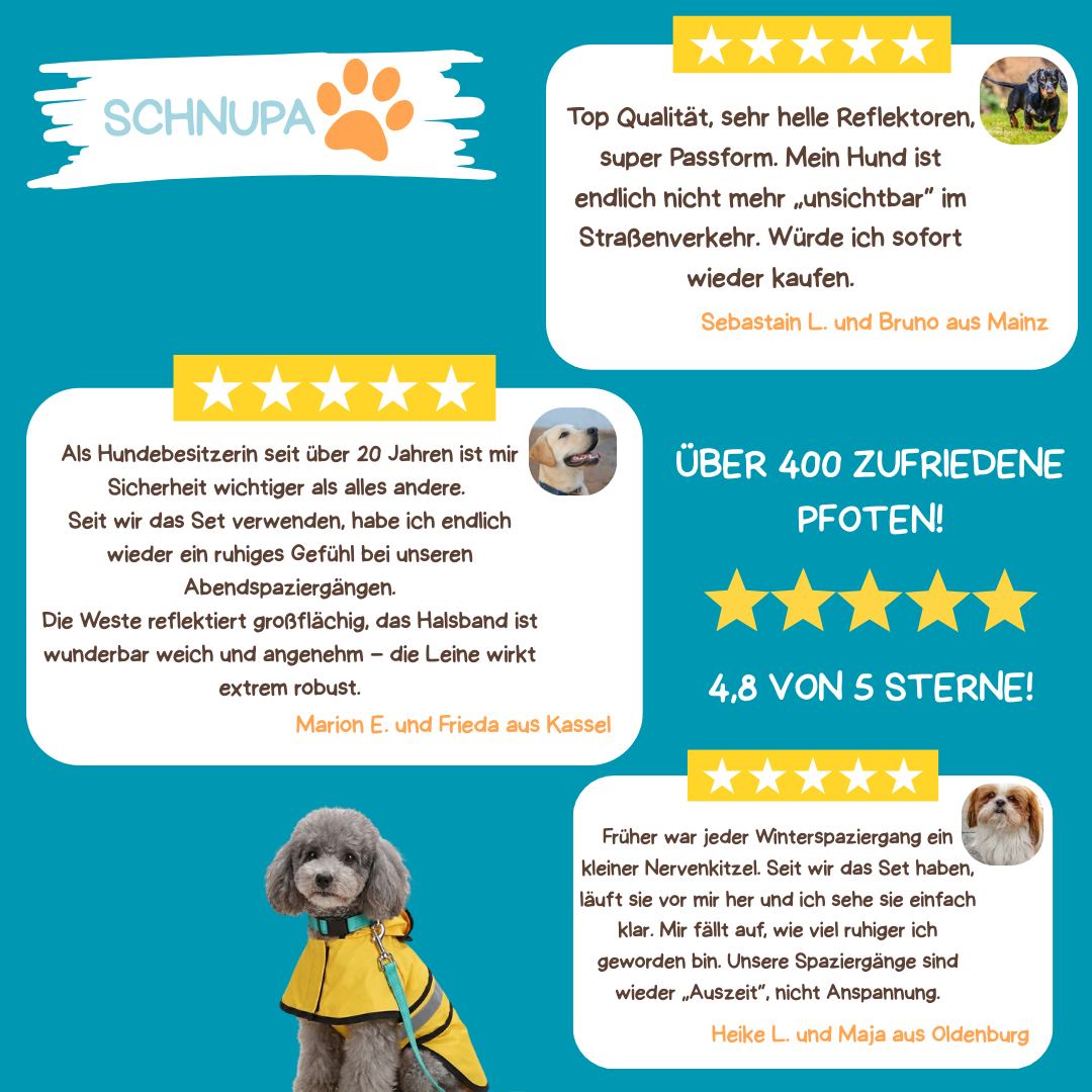 Sichtbarkeits-Bündel für den Winter