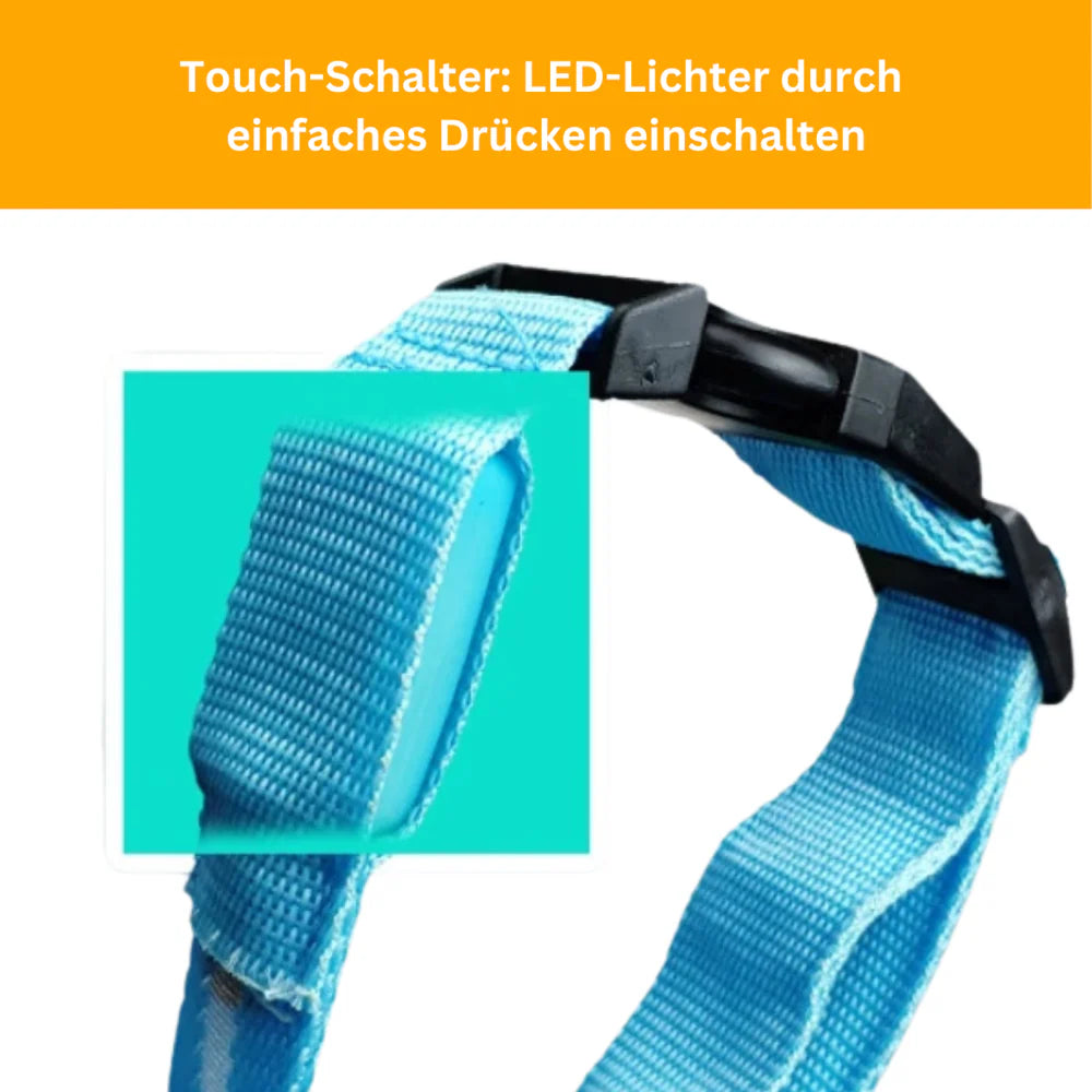 LED Leuchthalsband (Wasserdicht) mit USB Ladefunktion