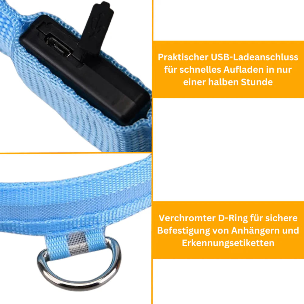 LED Leuchthalsband (Wasserdicht) mit USB Ladefunktion