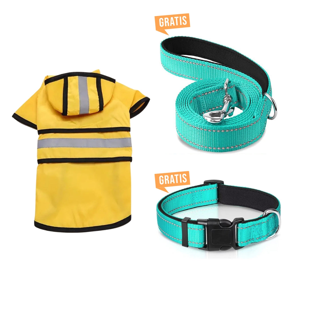 Sichtbarkeits-Bündel für den Winter