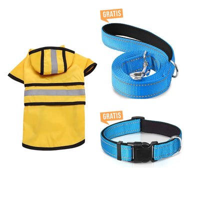 Sichtbarkeits-Bündel für den Winter