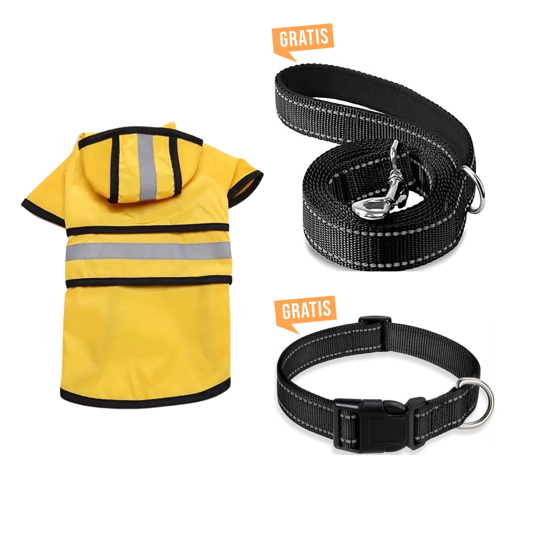 Sichtbarkeits-Bündel für den Winter