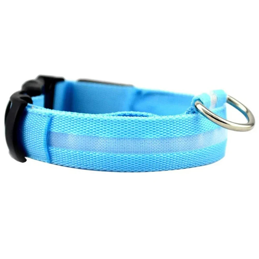 LED Leuchthalsband (Wasserdicht) mit USB Ladefunktion