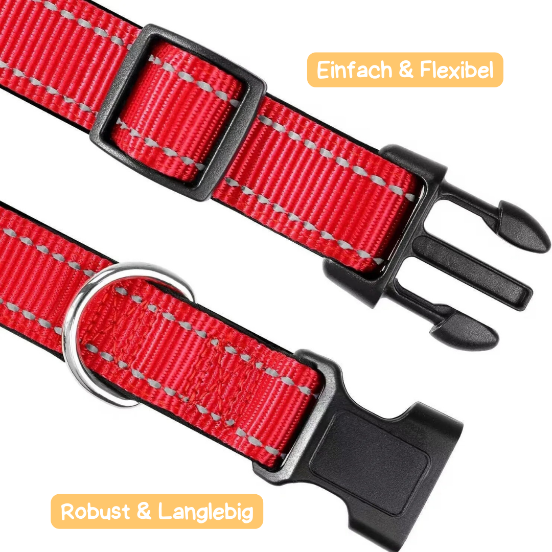 Sichtbarkeits-Bündel für den Winter