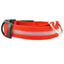 LED Leuchthalsband (Wasserdicht) mit USB Ladefunktion