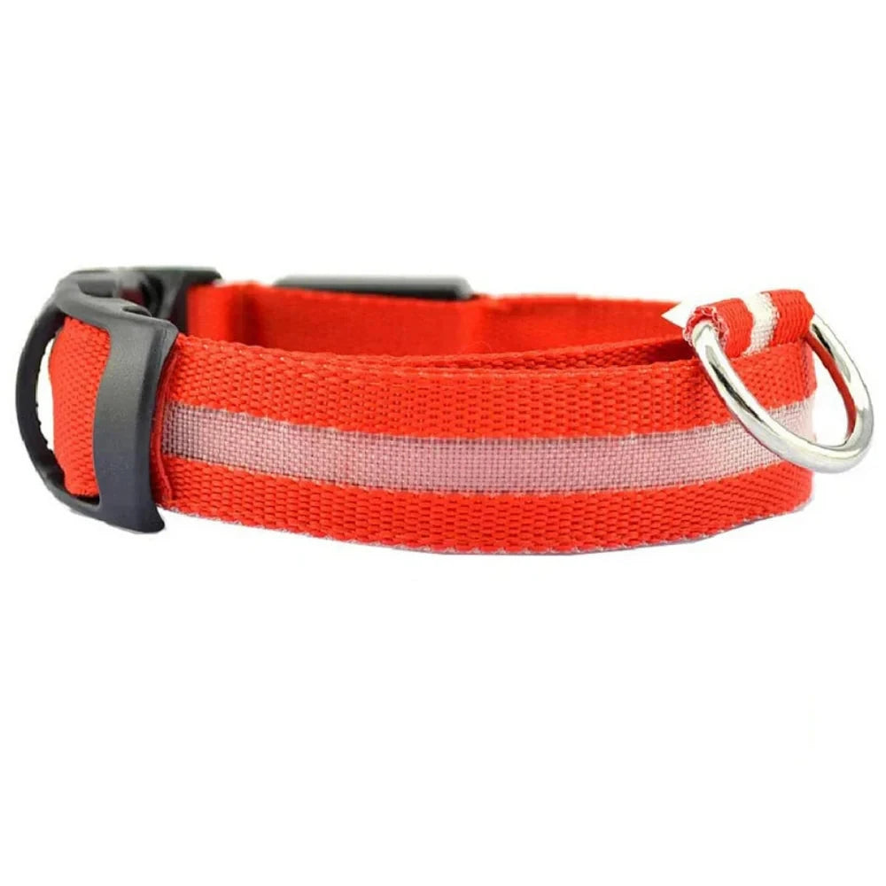 LED Leuchthalsband (Wasserdicht) mit USB Ladefunktion