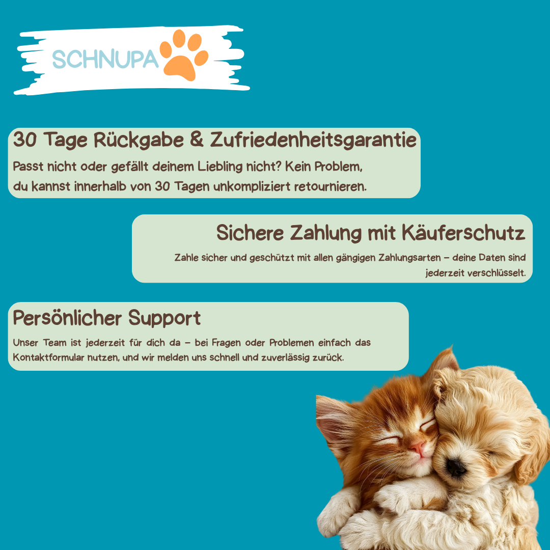 Sichtbarkeits-Bündel für den Winter