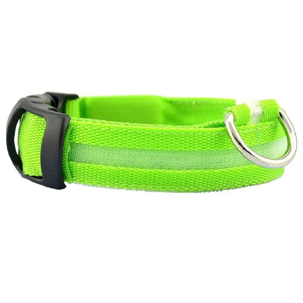 LED Leuchthalsband (Wasserdicht) mit USB Ladefunktion