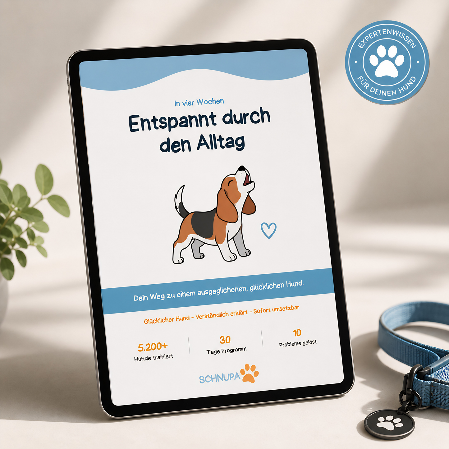 Entspannt durch den Alltag