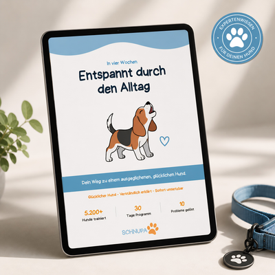 Entspannt durch den Alltag
