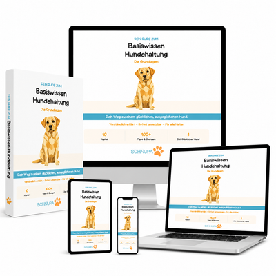 Basiswissen Hundehaltung