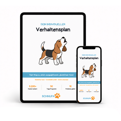 Dein individueller Verhaltensplan