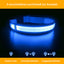 LED Leuchthalsband (Wasserdicht) mit USB Ladefunktion
