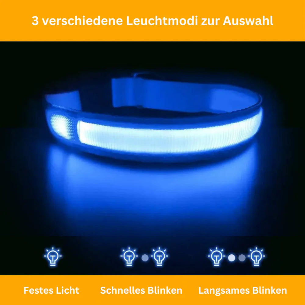 LED Leuchthalsband (Wasserdicht) mit USB Ladefunktion