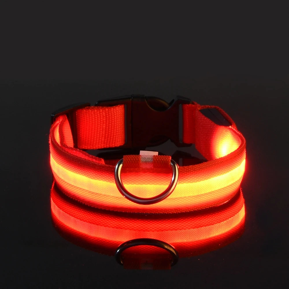 LED Halsband für Hunde in allen Lebensphasen