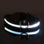 LED Halsband für Hunde in allen Lebensphasen