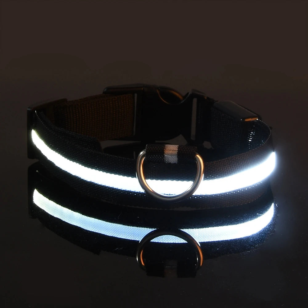LED Halsband für Hunde in allen Lebensphasen