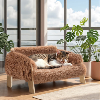 Luxuriöses Sofa für Katzen und kleine Hunde