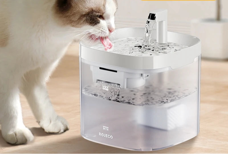 Automatischer Wasserspender mit zwei Trinkmodi