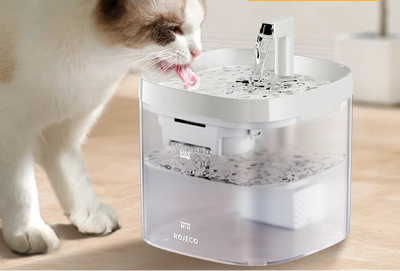 Automatischer Wasserspender mit zwei Trinkmodi