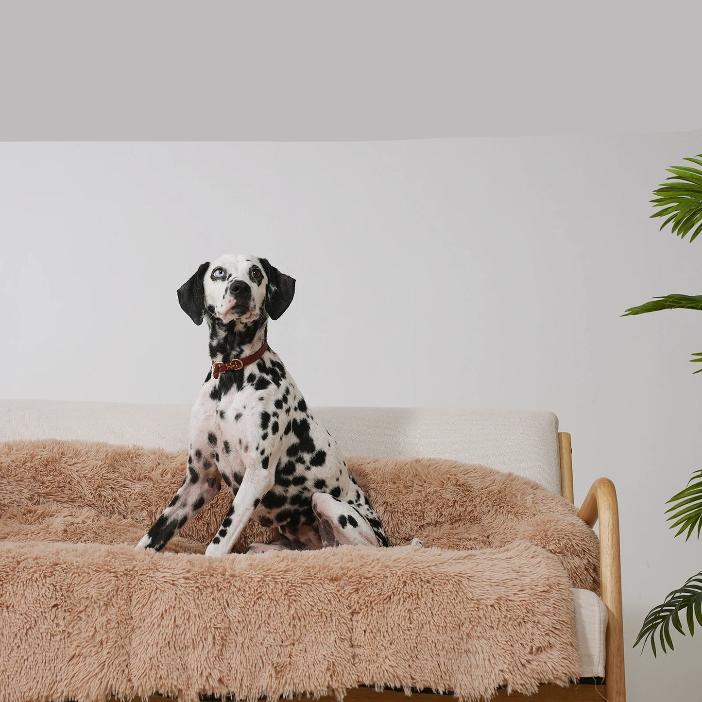 Flauschige Schlafsofa Matte aus Korallenfleece mit Anti Rutsch Boden