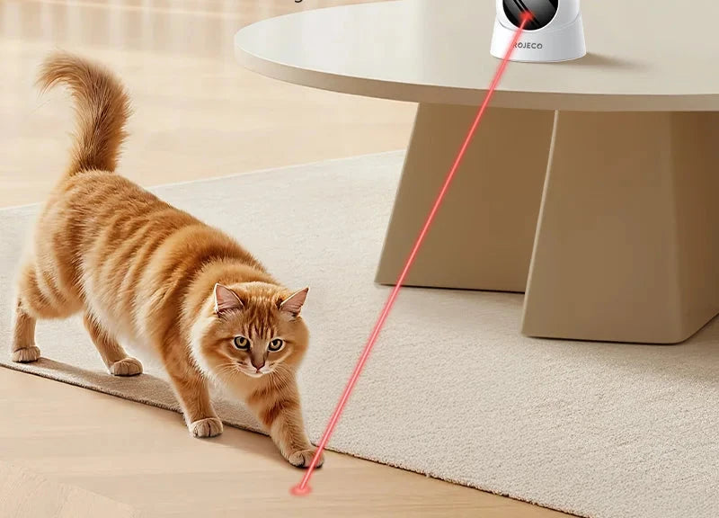 Automatisches Laser Spielzeug – Interaktiv und Verstellbar