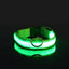 LED Halsband für Hunde in allen Lebensphasen