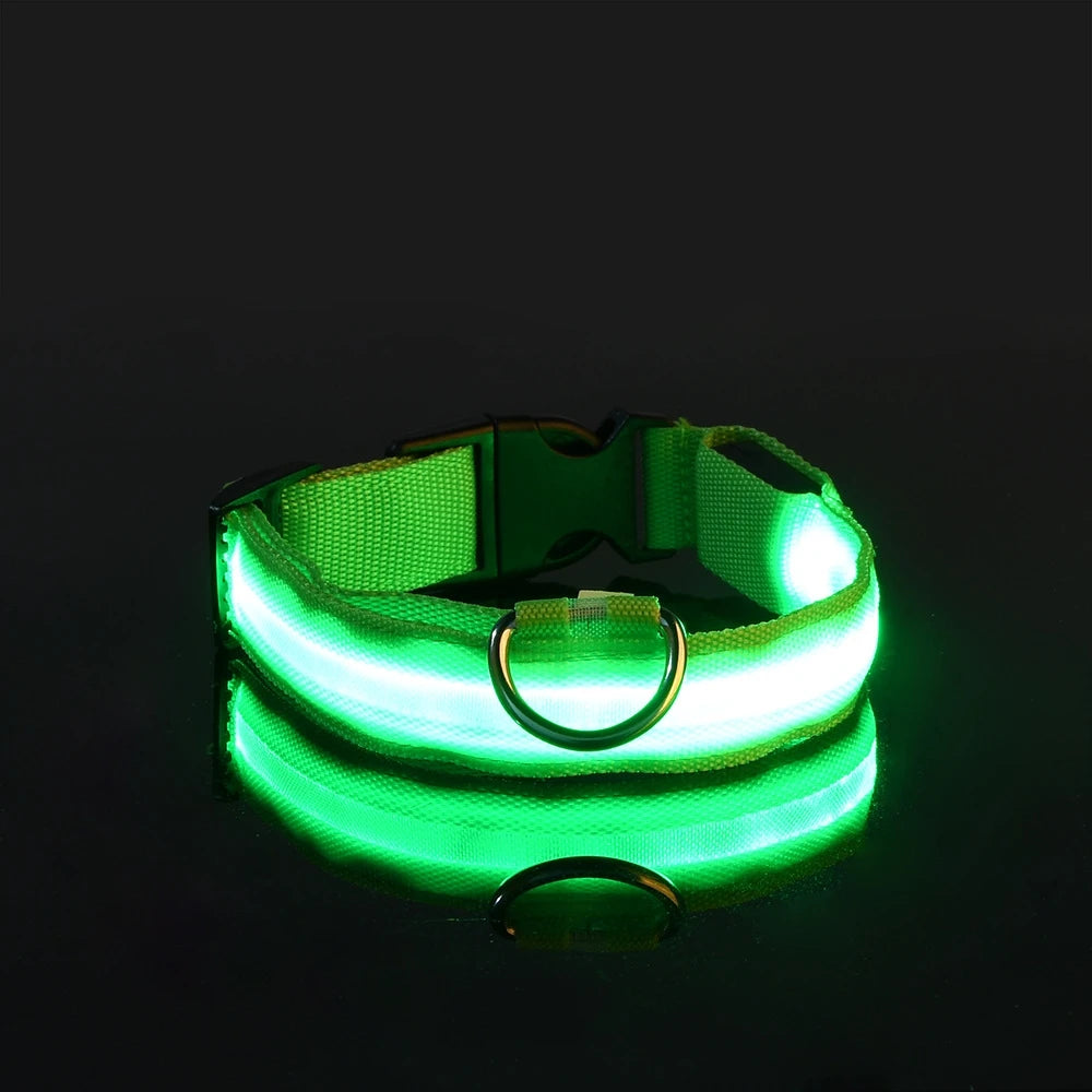 LED Halsband für Hunde in allen Lebensphasen