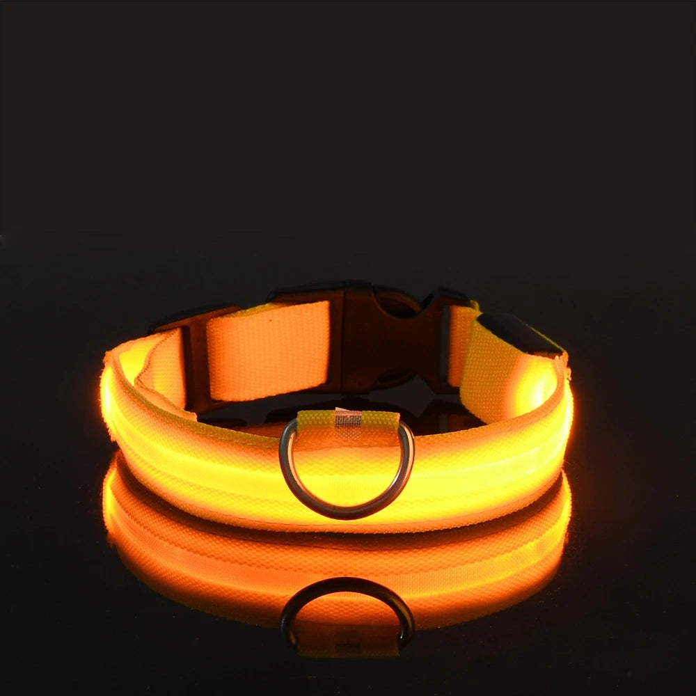 LED Halsband für Hunde in allen Lebensphasen