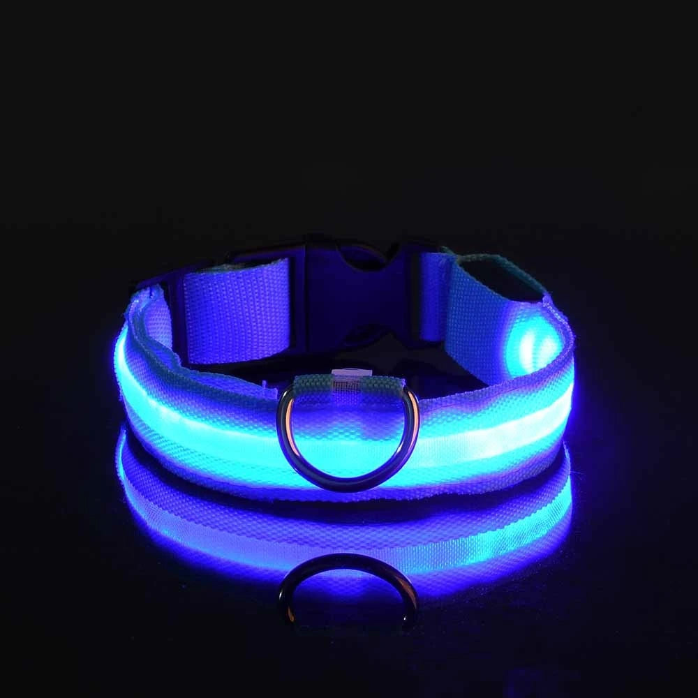 LED Halsband für Hunde in allen Lebensphasen
