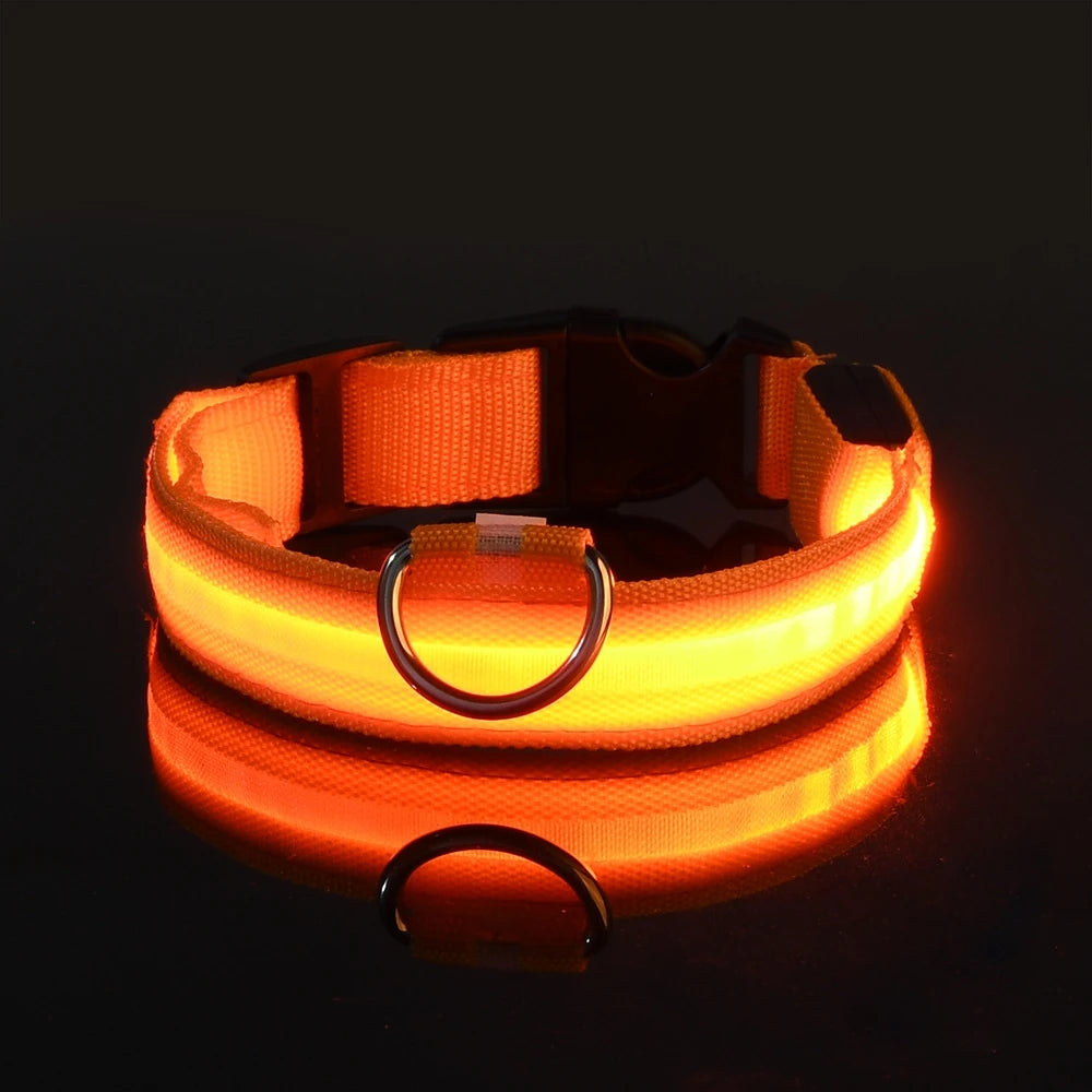 LED Halsband für Hunde in allen Lebensphasen
