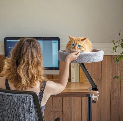 Schreibtisch Katzenbett aus Holz