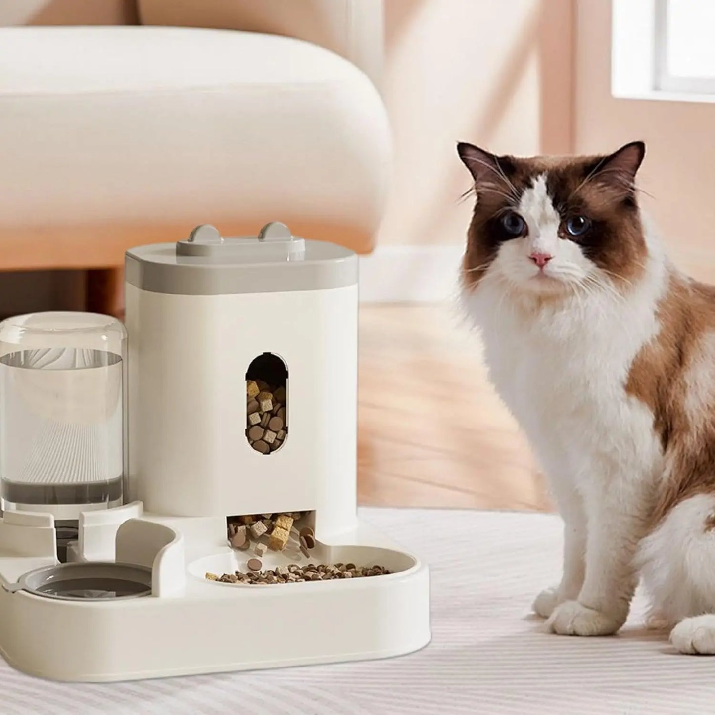 Automatischer Futterspender und Wassernapf 2 in 1