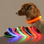 LED Halsband für Hunde in allen Lebensphasen