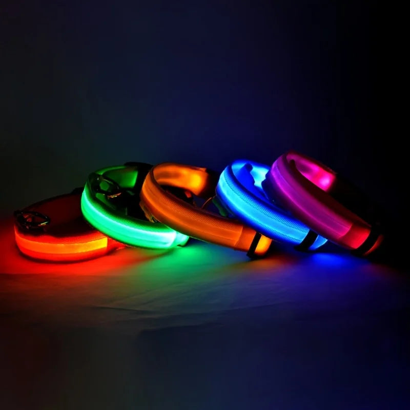 LED Halsband für Hunde in allen Lebensphasen