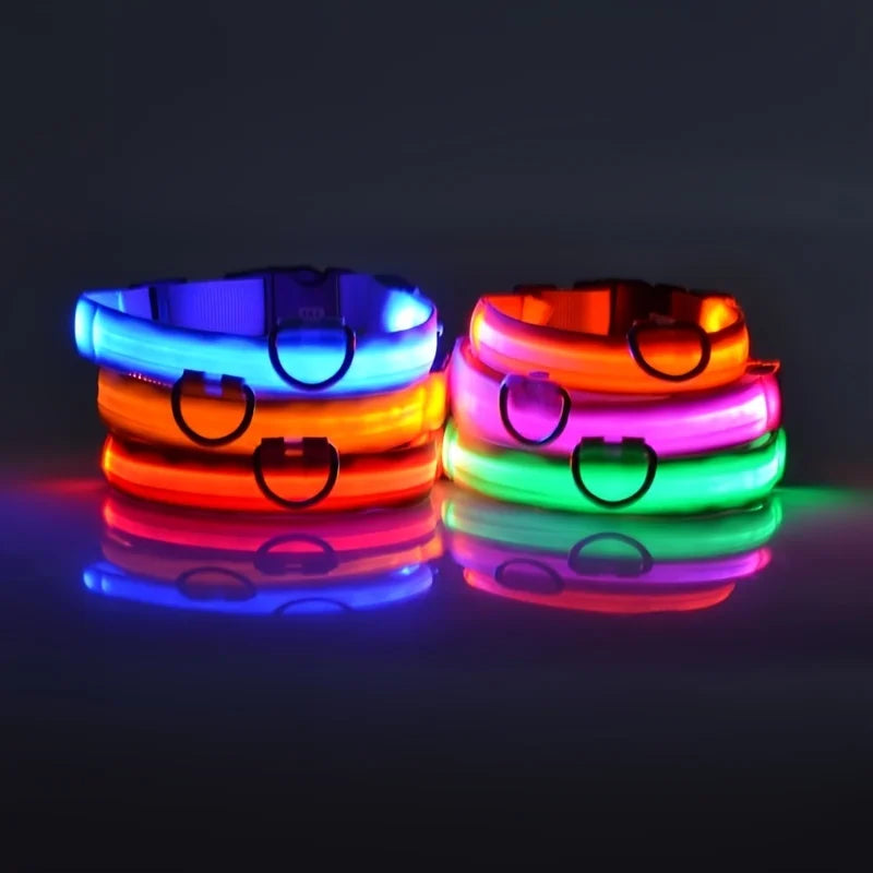 LED Halsband für Hunde in allen Lebensphasen