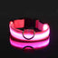 LED Halsband für Hunde in allen Lebensphasen