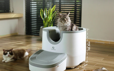 Intelligente Katzentoilette mit automatischem Reinigungssystem