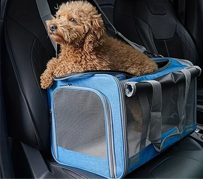 Große Transporttasche für Haustiere bis 9kg