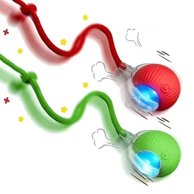 Smarter Spielball – Elektrisch rollendes Spielzeug gegen Langeweile