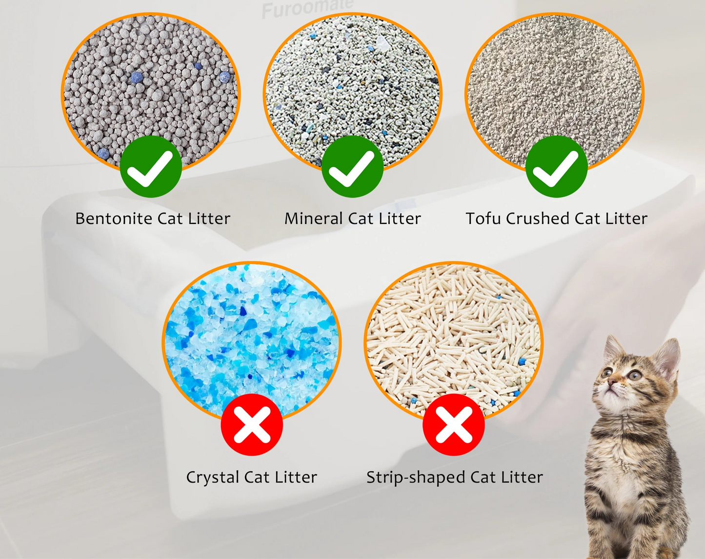 Intelligente Katzentoilette mit automatischem Reinigungssystem