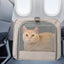 Premium Transporttasche/Trolley mit Rollen und Sicherheitsgurt
