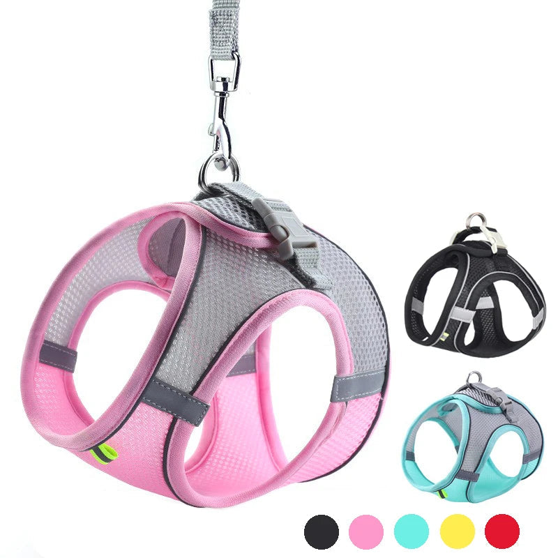 Verstellbares Geschirr mit Leine für komfortable Spaziergänge