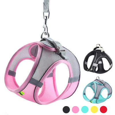 Verstellbares Geschirr mit Leine für komfortable Spaziergänge